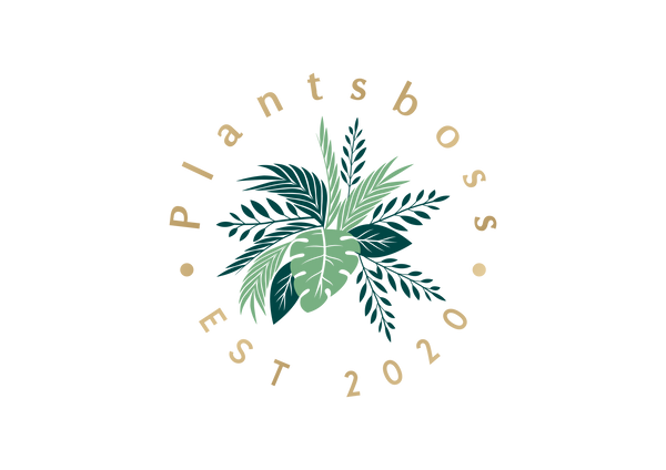 PlantsBoss